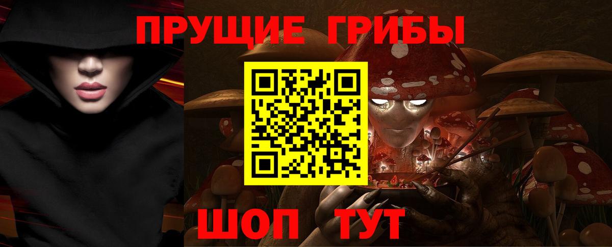 Тимашёвск  Псилоцибиновые грибы Psilocybine cubensis  дарнет шоп  Псилоцибиновые грибы GOLDEN TEACHER  Вход с VPN 