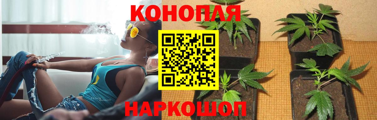 Марихуана OG Kush  Вход с VPN  Канабис AK-47  Каннабис White Widow  Тимашёвск 